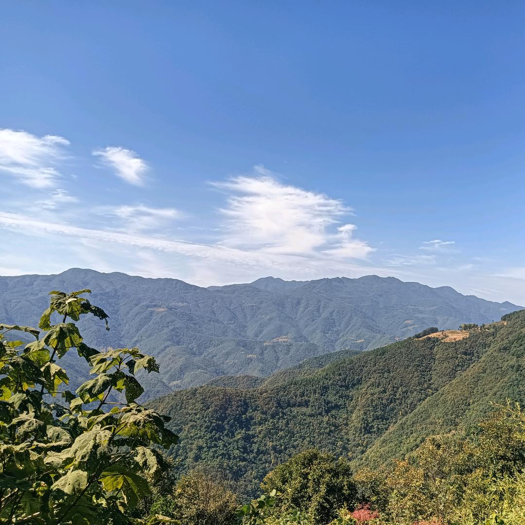 清风独醉