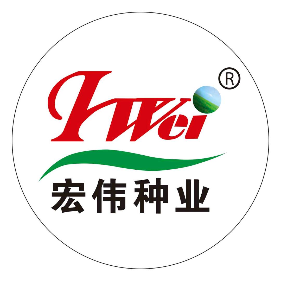 宏伟种业：强哥  ：