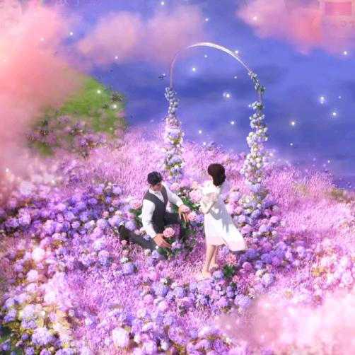 花晨月夕