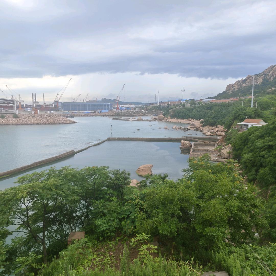 双子湾潮间带海参