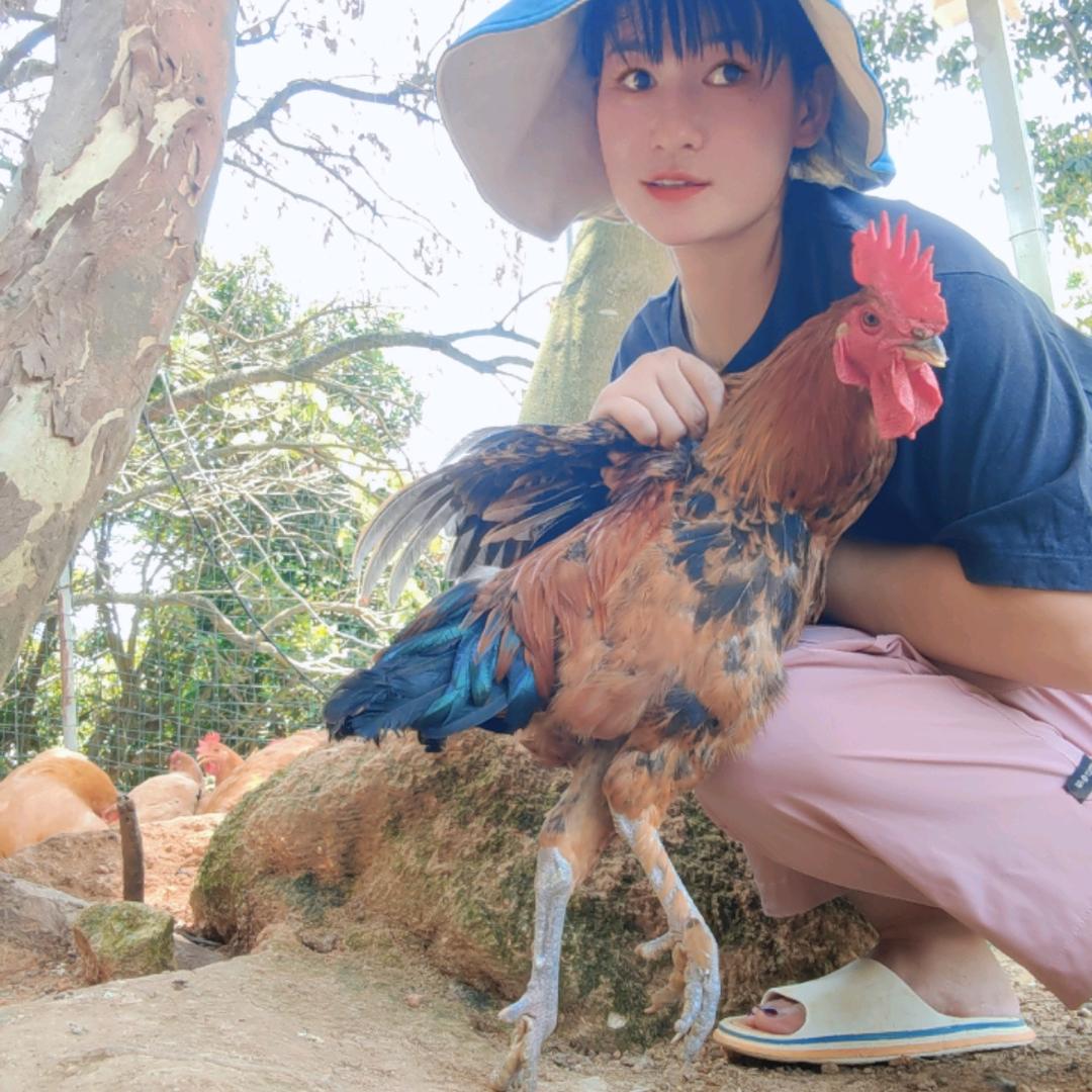 灌口小米，土鸡蛋