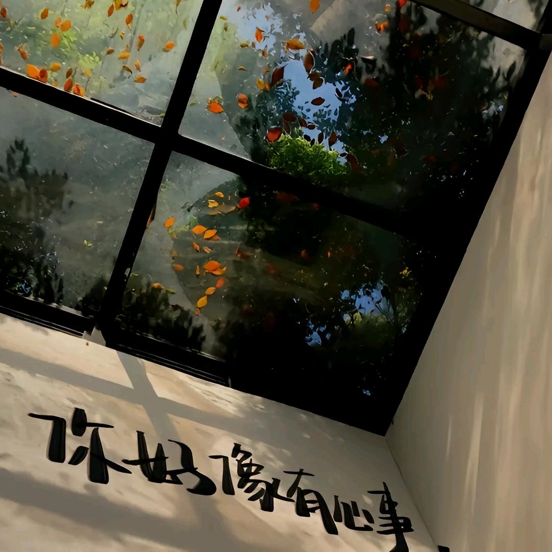 壹号信息科技
