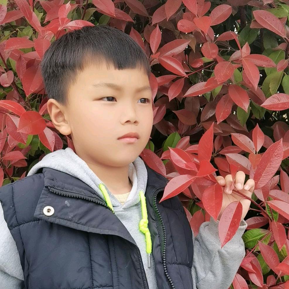 专业纯红薯粉条