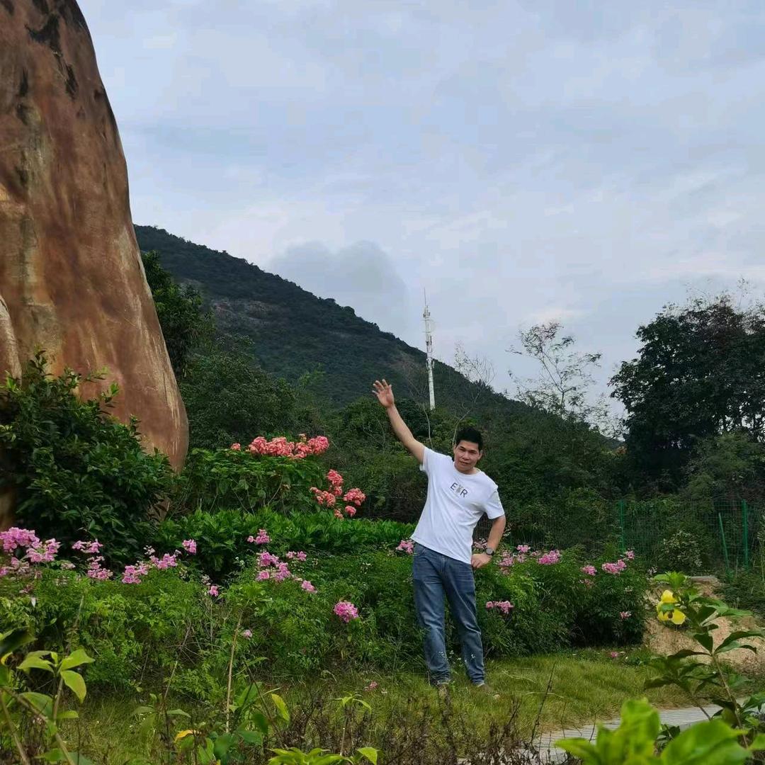 阳光在风雨后