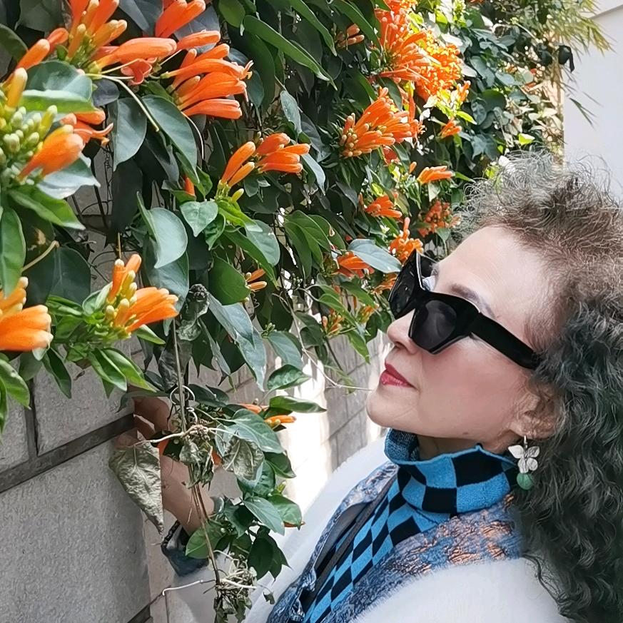 💃舞尽锦瑟年华💃