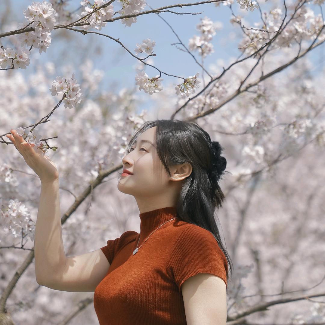 小杨带你看好房