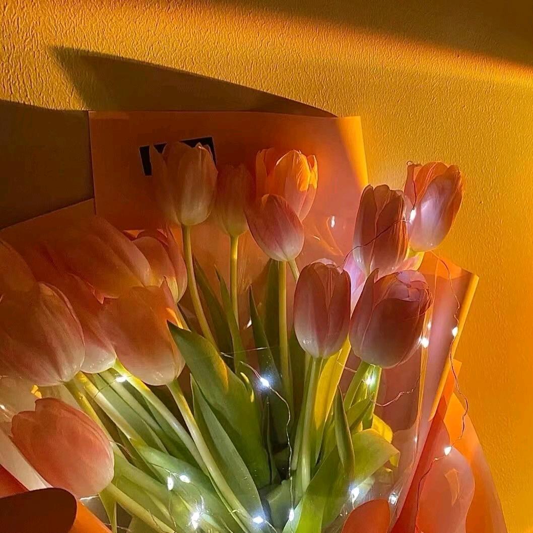 🌷缠枝