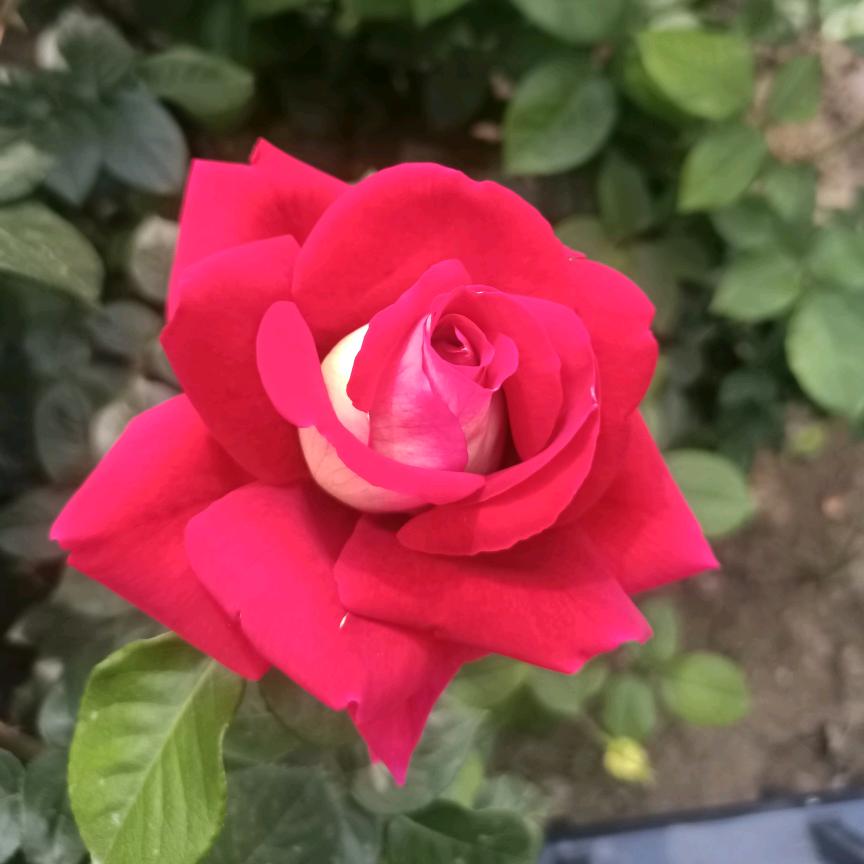 平安是福😊