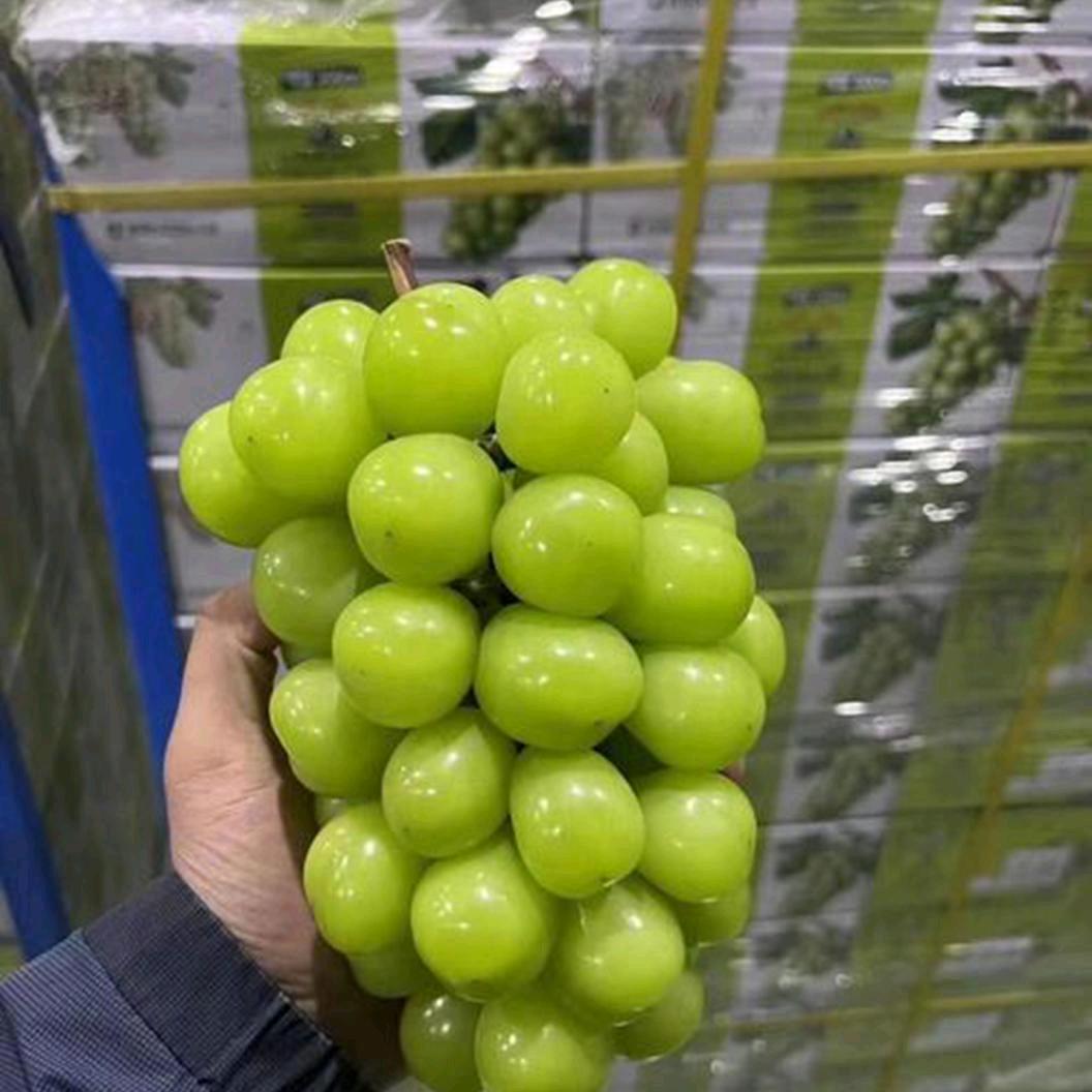 哆啦A梦