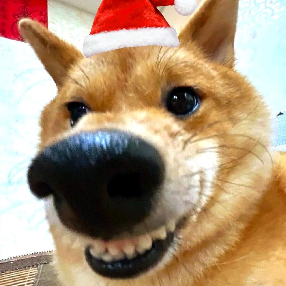 星辰ratsstar