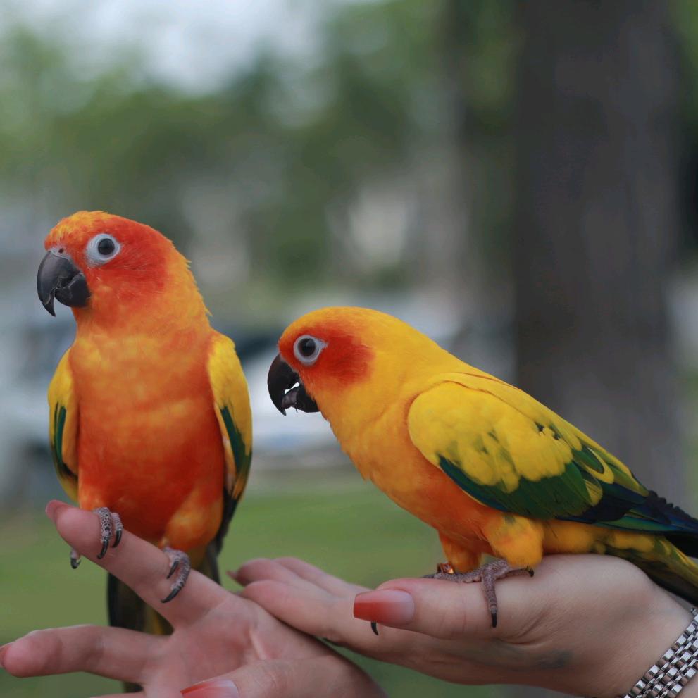 回不去的曾经💔