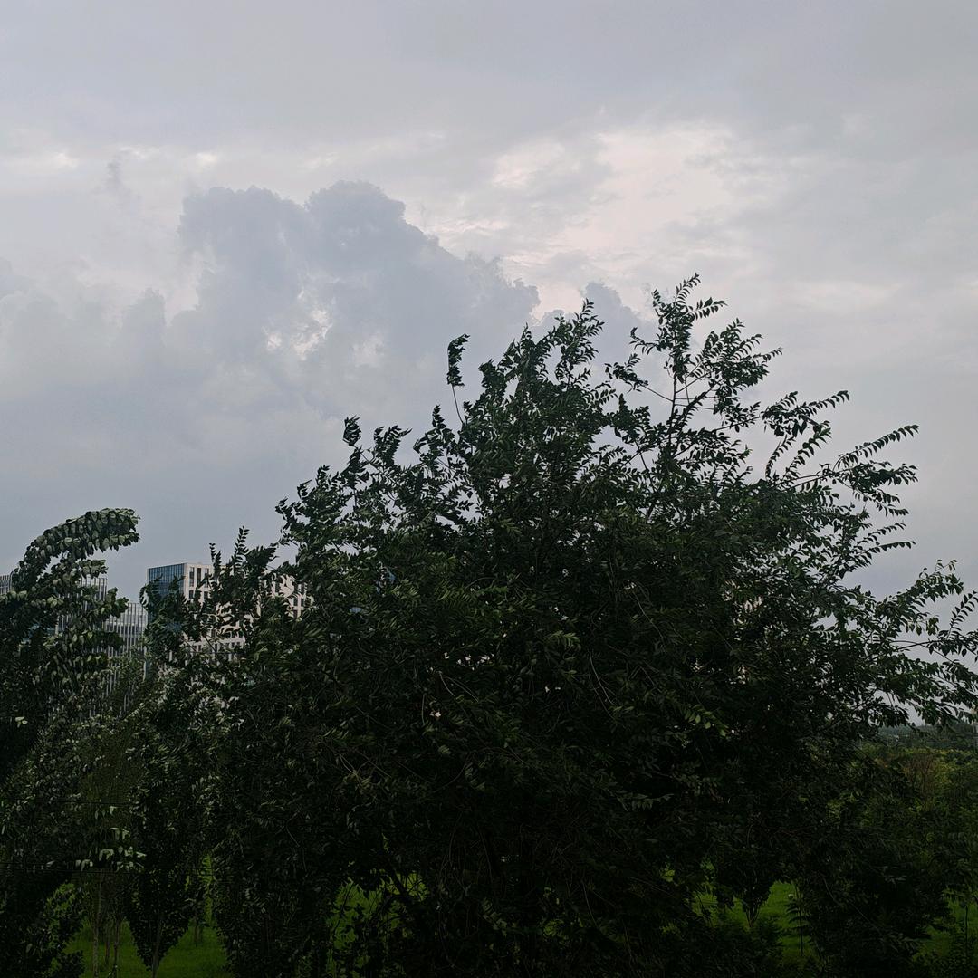 ๑ò南风ᆺ微凉ó๑