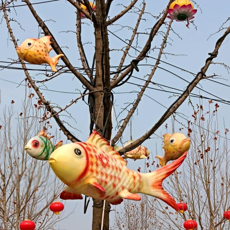辛先生