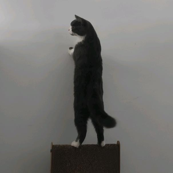 圆汤包～
