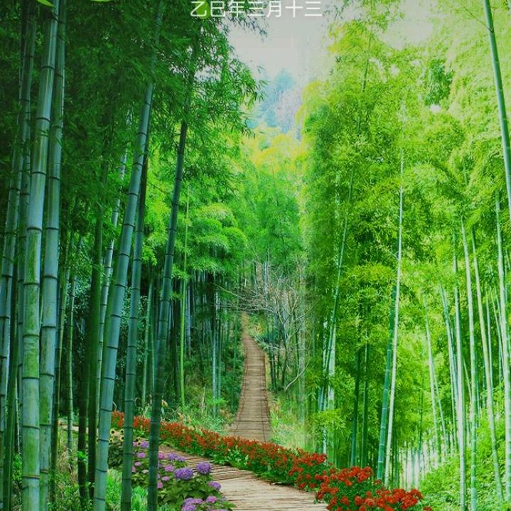 相爱：