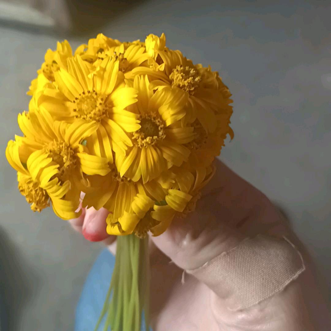 也 许