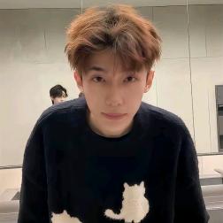 𝙁𝙤𝙧𝙚𝙫𝙚𝙧.