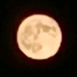 🍀🌝✨✨💫🌟