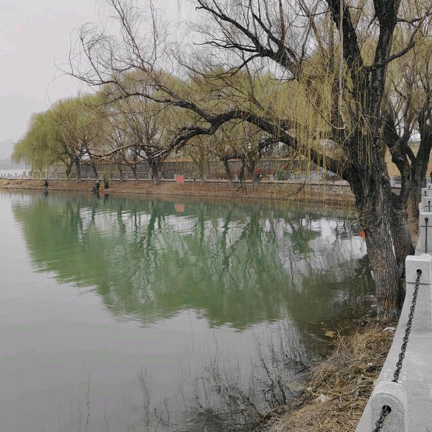 缘分天注定