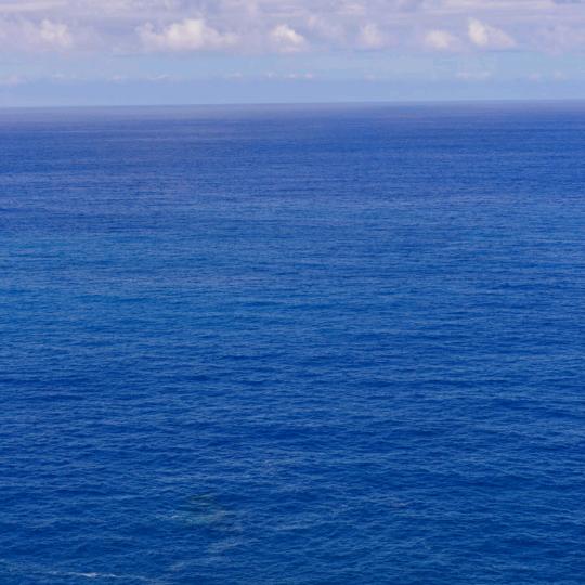 海子
