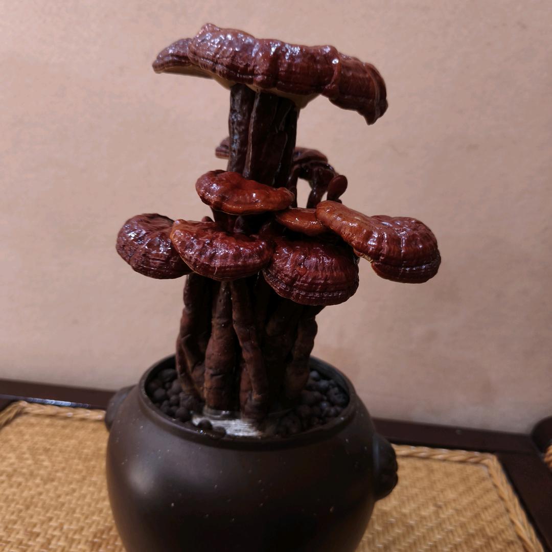 天生此命，由命不由人