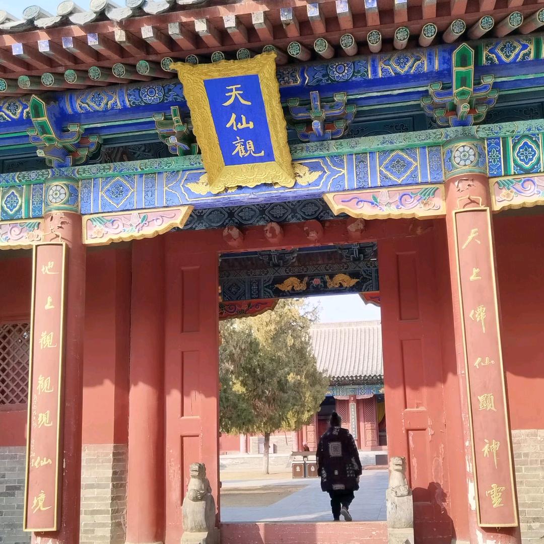 云中凤飞九天