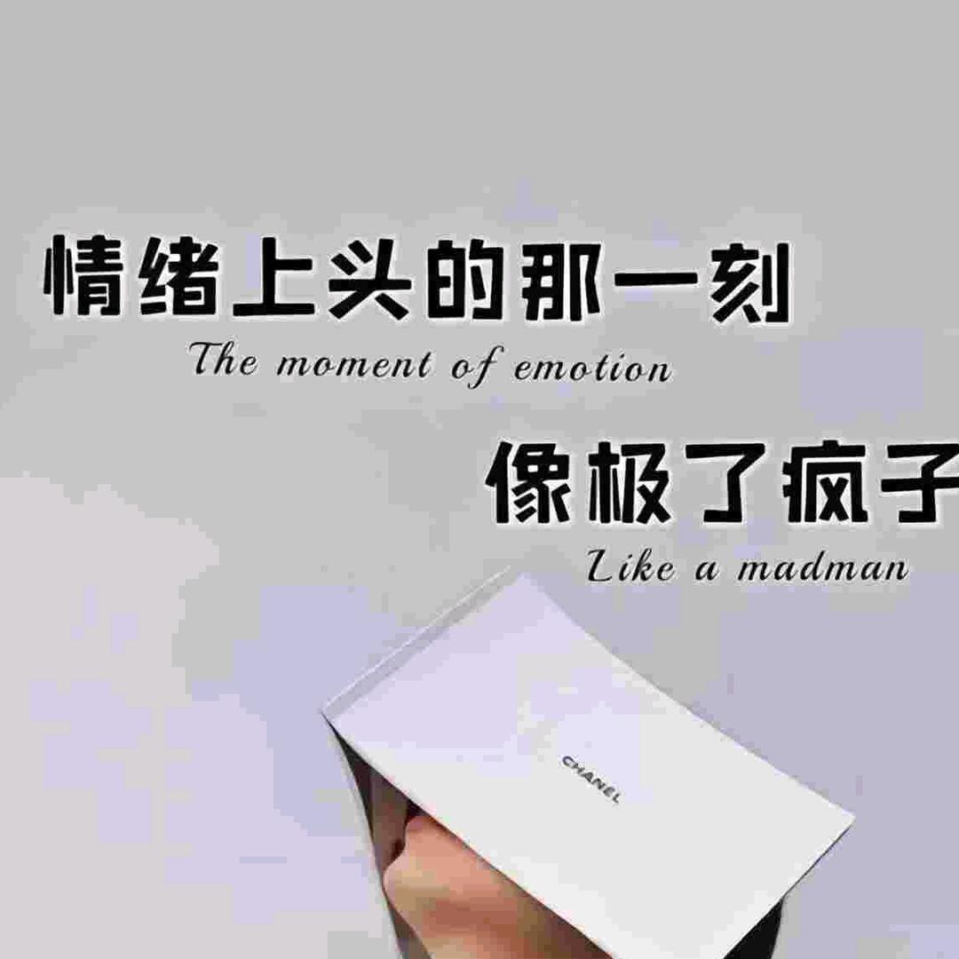 相逢已是上上签+