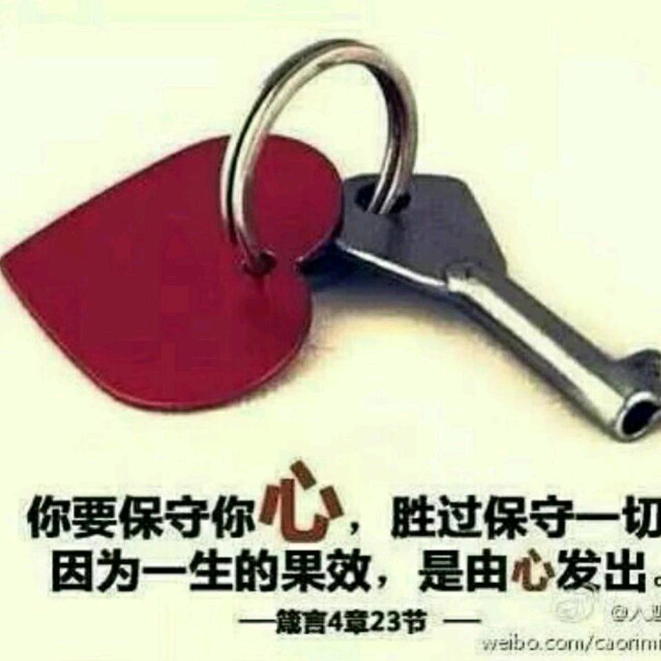 小鱿鱼