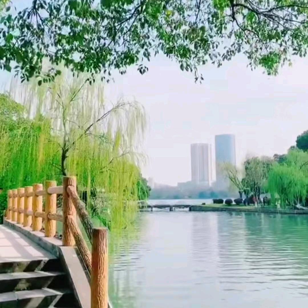 陈陈