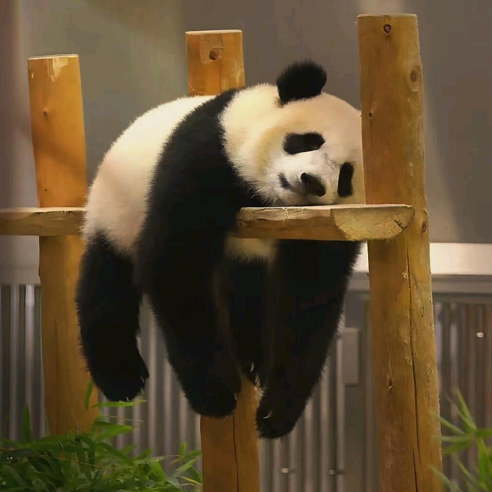 清風不語