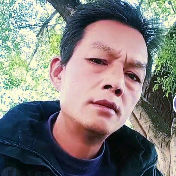 探索中华土猎犬