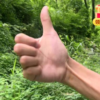 王阿娟头像