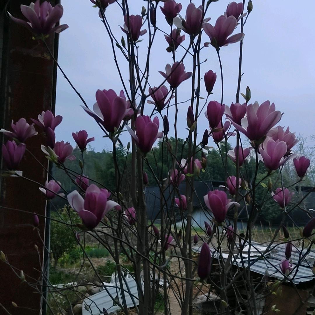 浙盛方