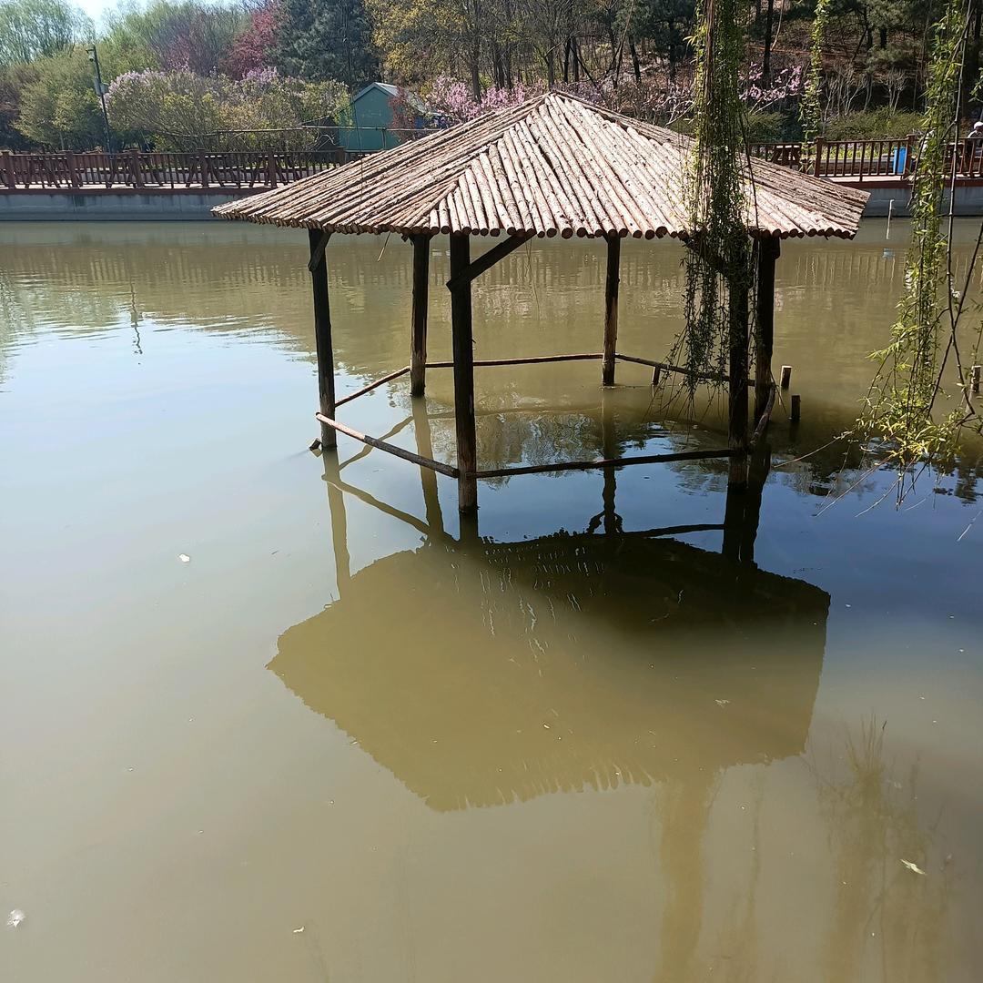 永相随