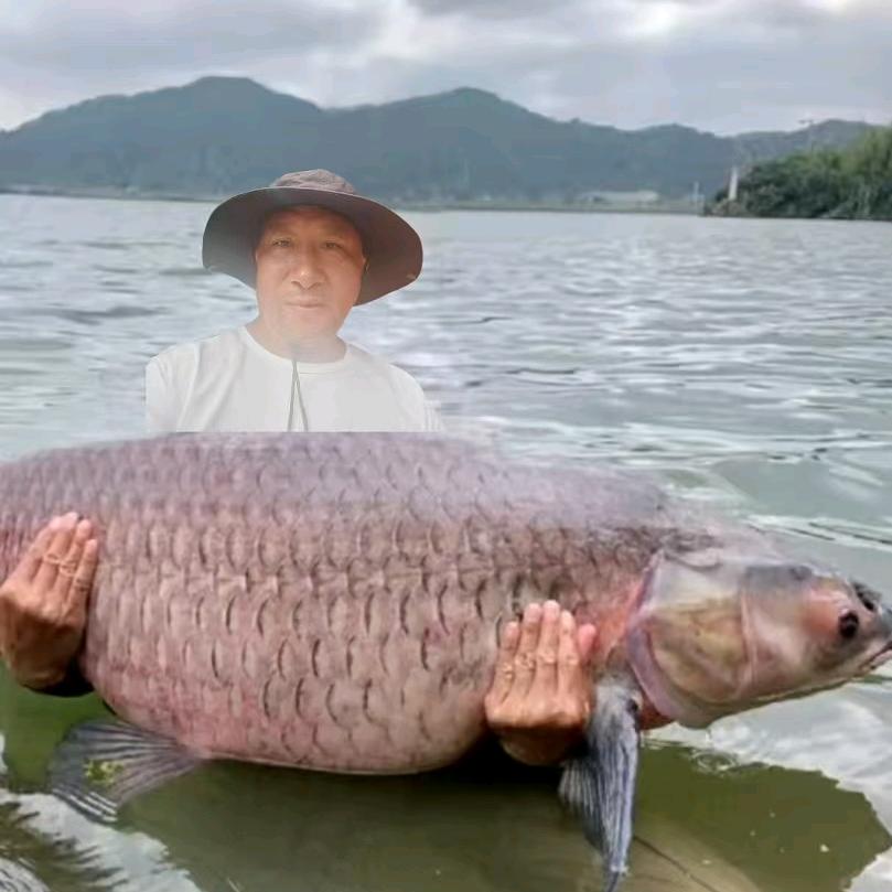 兴中钓鱼