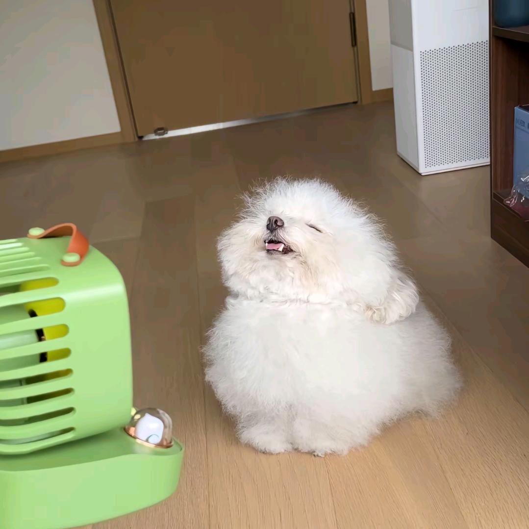 曹清华