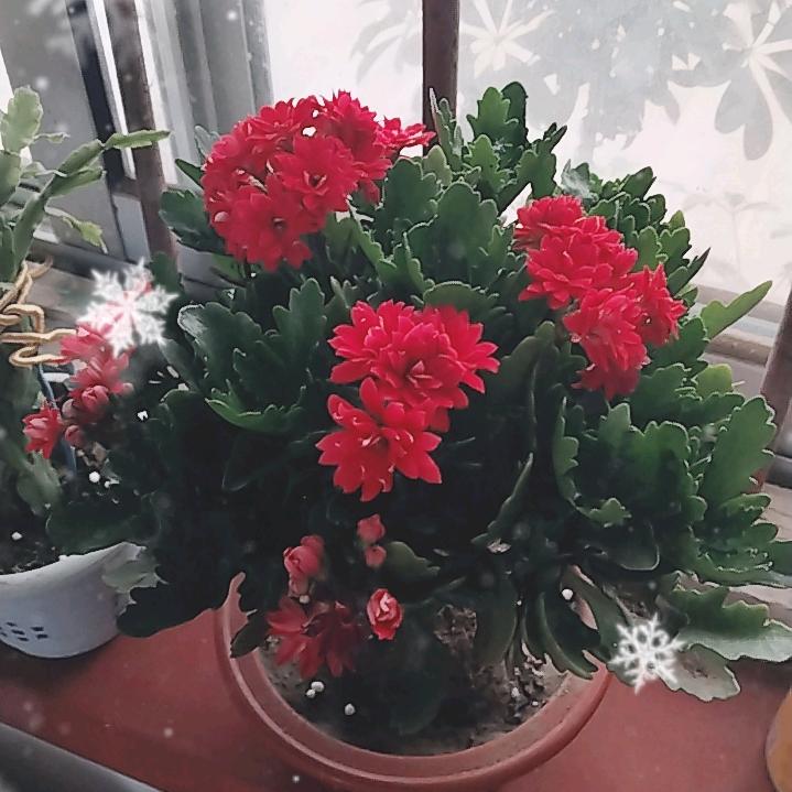 俺是老农民