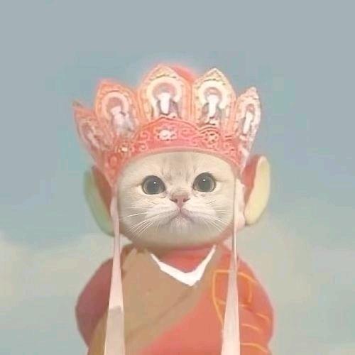 番茄肥牛