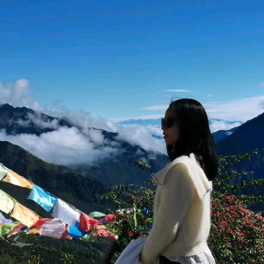 大邑驾考   飞哥