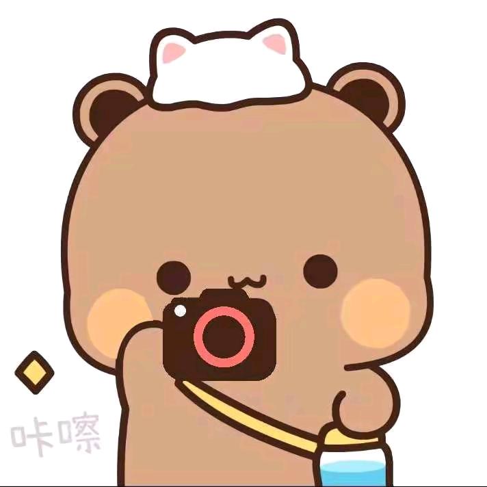 熊小布🐻