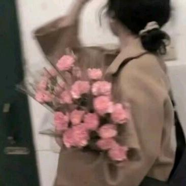 顾离离♡