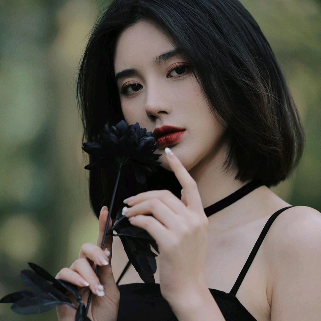 玫瑰优选