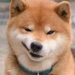 马老弟