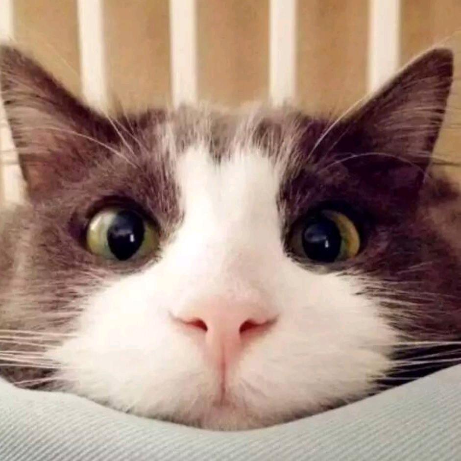 梦中的你.🍀🍀