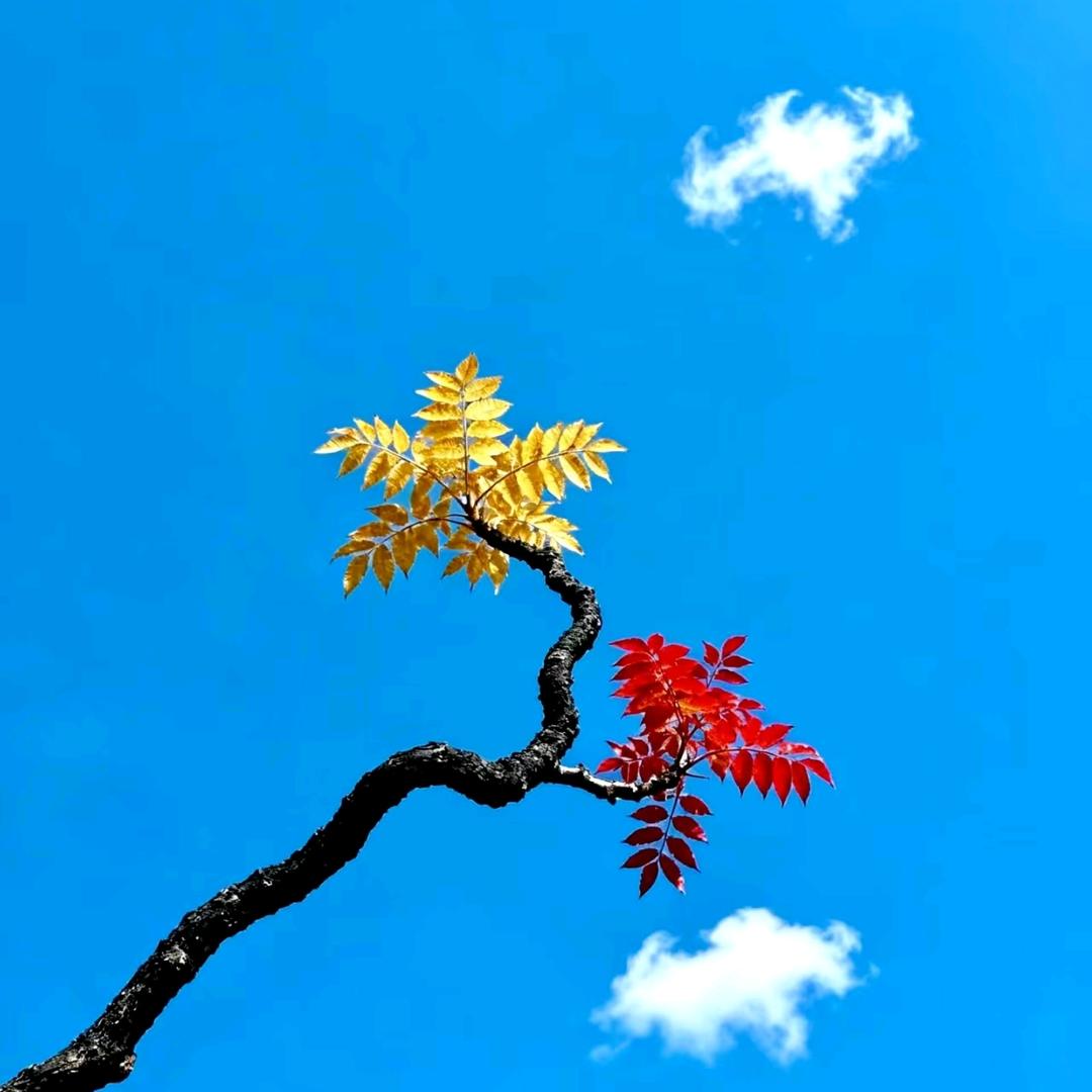 哈哈哈🌈🌈🌈