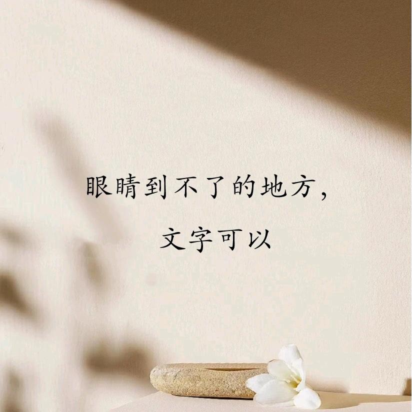 铁头娃每日书摘