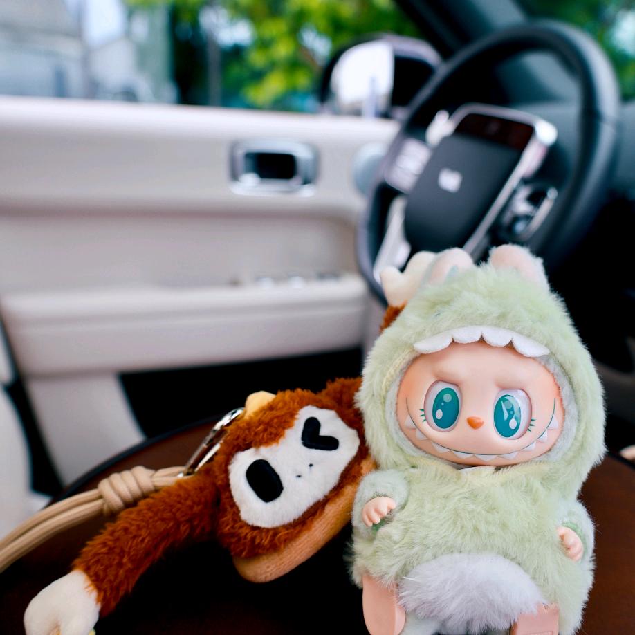 张同学的理想生活