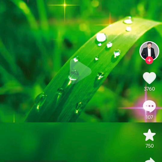 芹菜炒开心