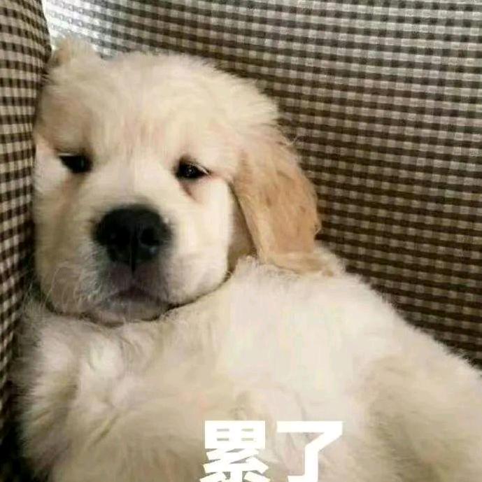 有点好笑