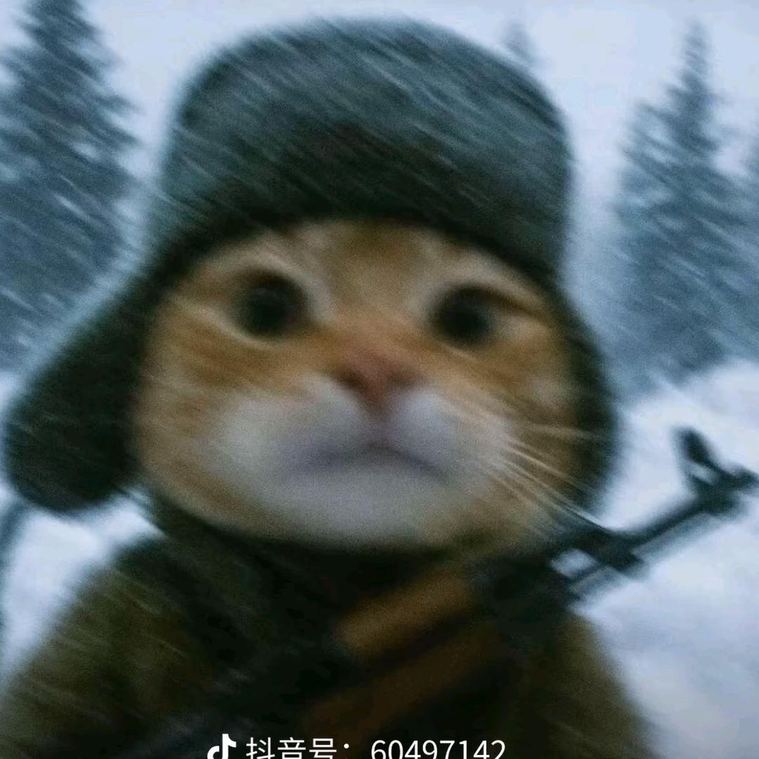 AD小升